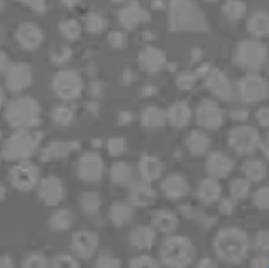 Сычуаньская компания Kunwei Langsheng Extrusion Intelligent Equipment Co., Ltd.